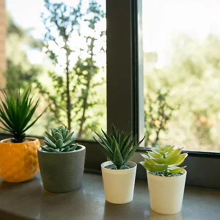 Sunny Condo-Pool By Algarve Dream Holidays 펜션